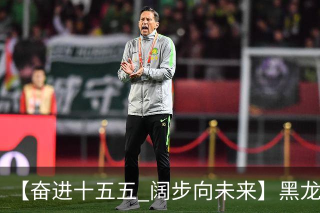【奋进十五五 阔步向未来】黑龙江农机产业正加速迈向高端化智能化绿色化