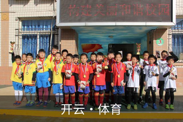 关于开云·体育
